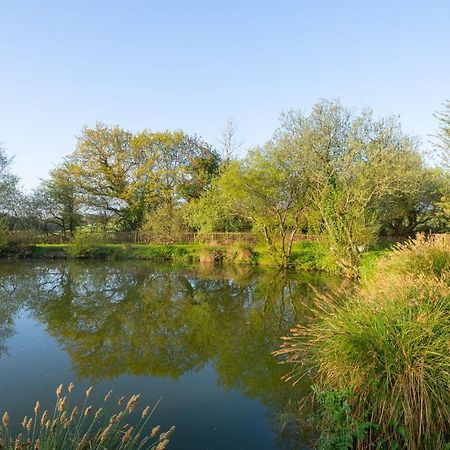Our Goldfinch 1- Sleeps 2 Persons- Private Hot Tub-Pet Friendly-Tranquil Holiday Away From It All Yet Not Far From St Austell- The Holiday Home Has One Bedroom, Living And Dining Area, Equipped Kitchen-Decking-Outdoor Furniture-Fishing Lakes And More Grampound Exterior foto